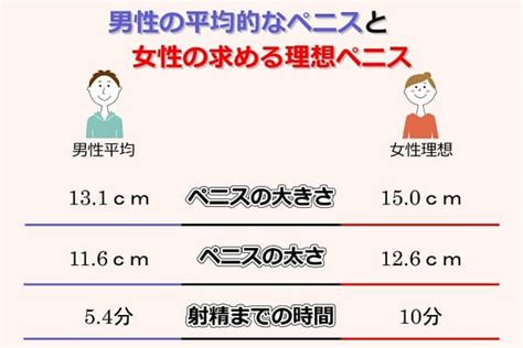 ペニスの平均的な長さと太さとは？複数の研究データによる結論。